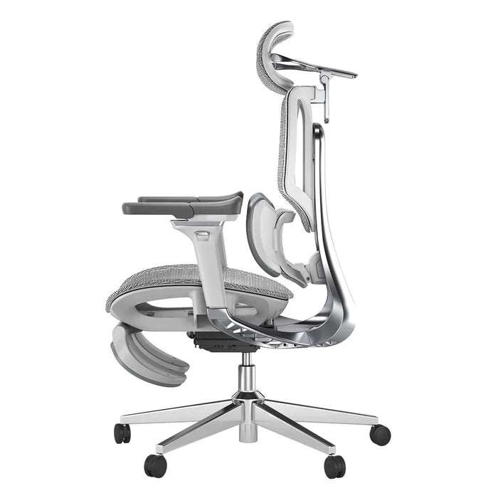 Ergo Relax Pro Chair