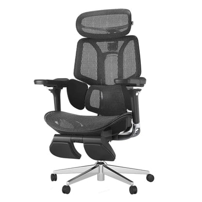 Ergo Relax Pro Chair