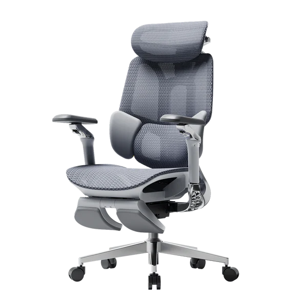 Ergo Relax Pro Chair