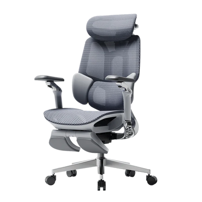 Ergo Relax Pro Chair