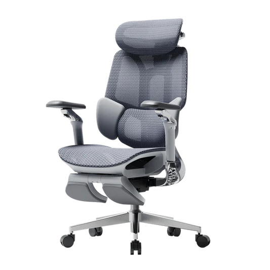Ergo Relax Pro Chair