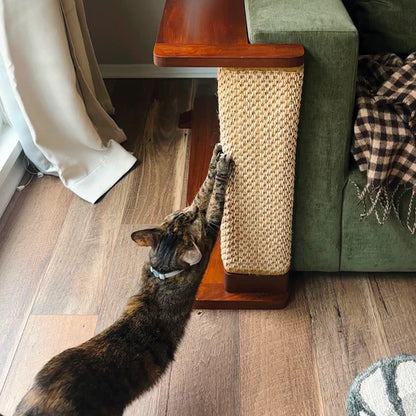 Pro Cat Corner